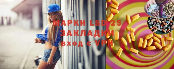 прущие грибы Алзамай