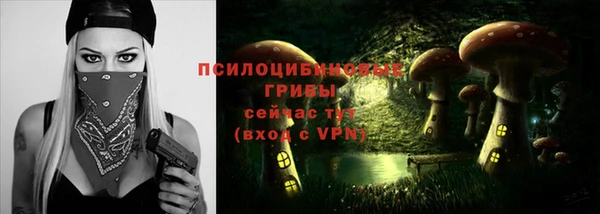 прущие грибы Алзамай