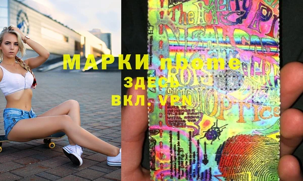 прущие грибы Алзамай