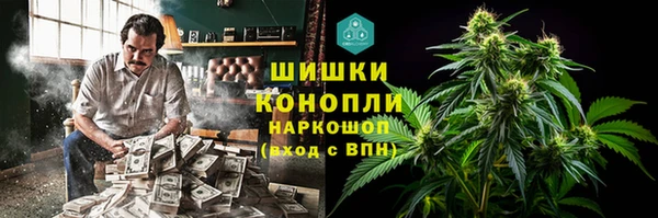 прущие грибы Алзамай