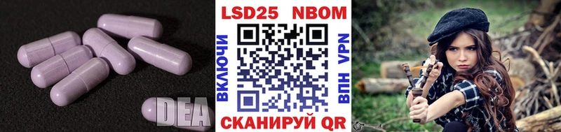 kraken ссылки  Новая Ладога  ЛСД экстази ecstasy 