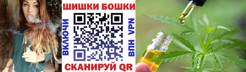 Шишки марихуана планчик  Новая Ладога 